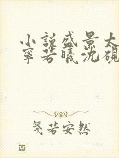 小说盛景太匆匆宁若曦沈砚舟在线阅读