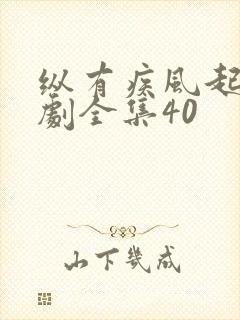 纵有疾风起电视剧全集40