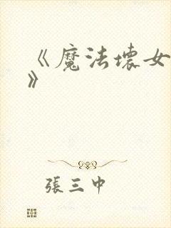 《魔法坏女巫2》