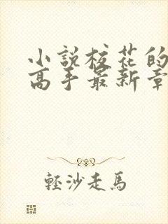 小说校花的贴身高手最新章节阅续