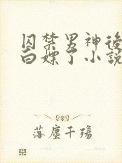 囚禁男神后我被白嫖了小说