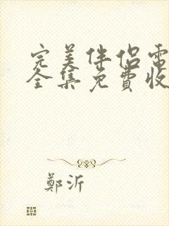 完美伴侣电视剧全集免费收看封面