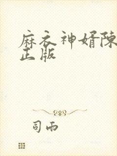 麻衣神婿陈黄皮正版