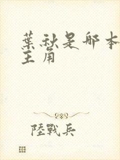 叶秋是哪本小说主角封面