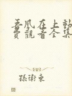 吾凰在上动漫免费观看全集