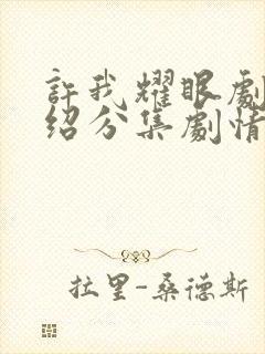 许我耀眼剧情介绍分集剧情介绍