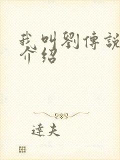 我叫刘传说剧情介绍