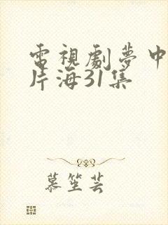 电视剧梦中的那片海31集