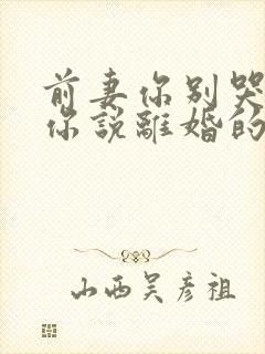 前妻你别哭了是你说离婚的短剧