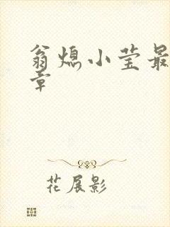 翁熄小莹最新节章