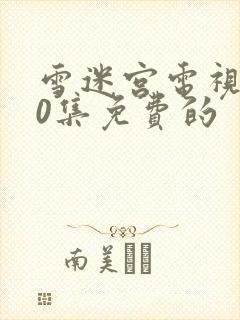 雪迷宫电视剧40集免费的