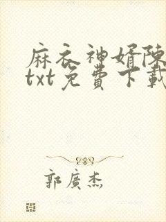 麻衣神婿陈黄皮txt免费下载封面