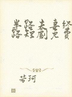 半路夫妻终成陌路短剧免费观看