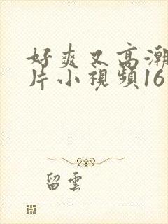 好爽又高潮了毛片小视频16