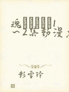 魂インサート1～2集动漫免费