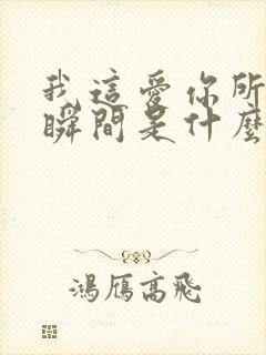 我这爱你所爱的瞬间是什么歌