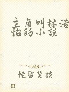 主角叫林浩李静怡的小说封面