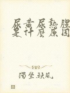 尿黄尿热腥臭味是什么原因