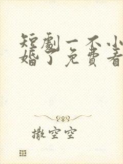 短剧一不小心闪婚了免费看封面