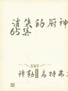 消失的厨神短剧65集