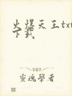火爆天王txt下载