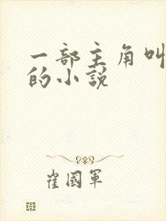 一部主角叫叶楚的小说