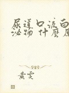 尿道口流白色分泌物 什么原因