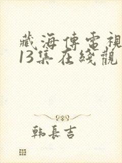 藏海传电视剧第13集在线观看