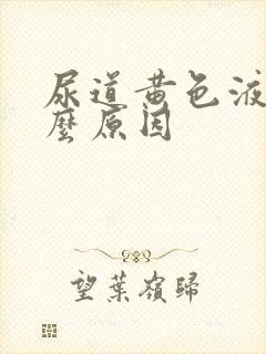 尿道黄色液体什么原因