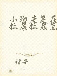 小狗老是在家里拉屎拉尿怎么办