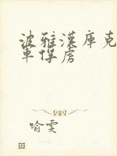 波雅汉库克被海军俘虏