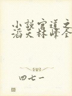 小说官道之权势滔天林峰全文阅读