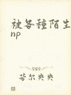 被各种陌生人 np