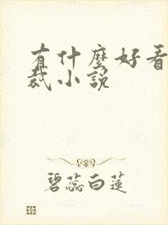 有什么好看的总裁小说封面