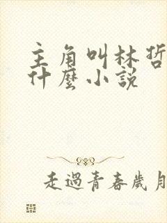 主角叫林哲的是什么小说封面