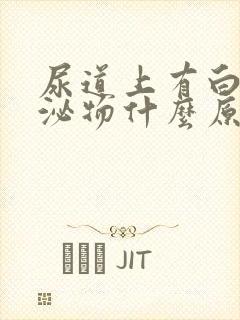 尿道上有白色分泌物什么原因