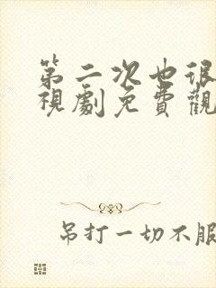 第二次也很美电视剧免费观看封面