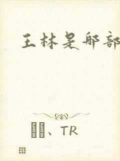 王林是哪部小说