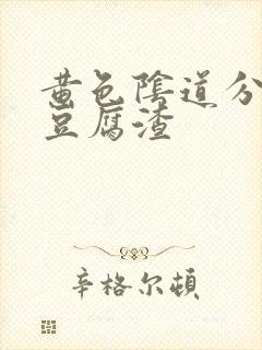 黄色阴道分泌物豆腐渣