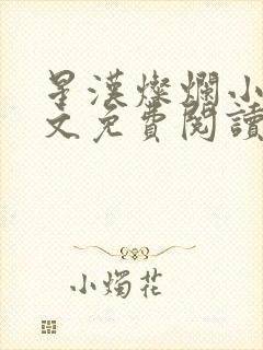 星汉灿烂小说全文免费阅读封面