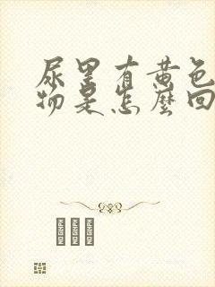 尿里有黄色分泌物是怎么回事