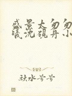 盛景太匆匆宁若曦沈砚舟小说