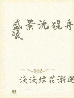 盛景沈砚舟宁若曦