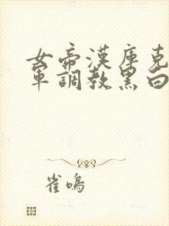 女帝汉库克被海军调教黑白封面