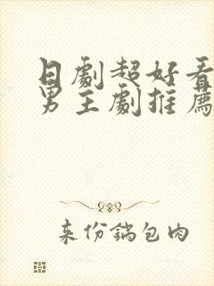 日剧超好看的双男主剧推荐