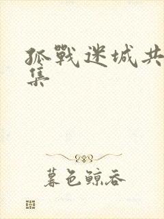 孤战迷城共多少集