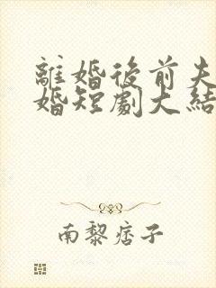 离婚后前夫求复婚短剧大结局封面