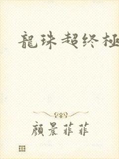 龙珠超终极之战