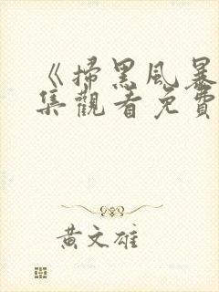 《扫黑风暴》全集观看免费高清