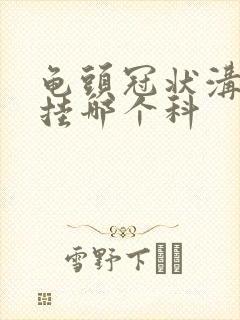 龟头冠状沟红斑挂哪个科